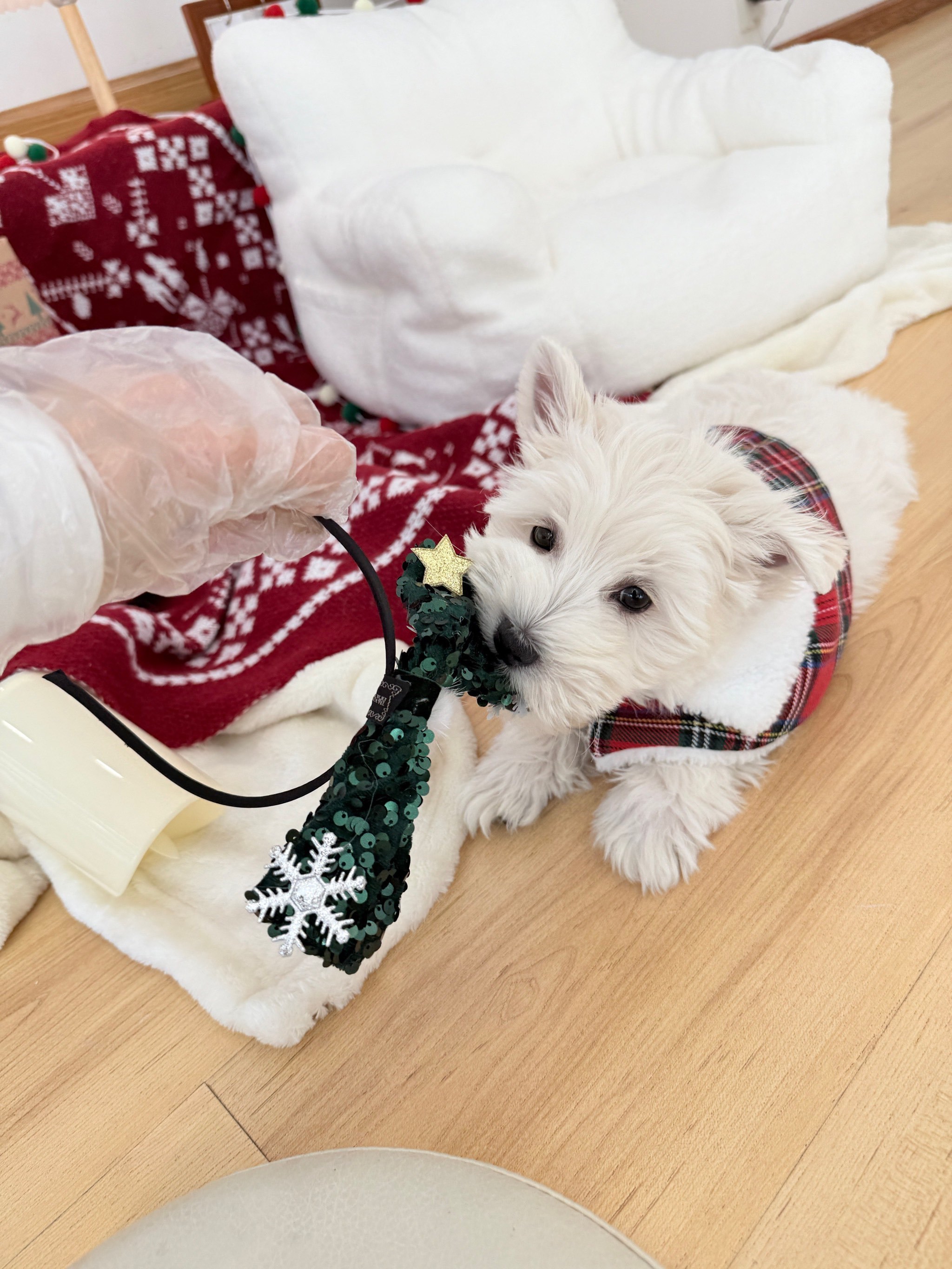 九游网页版登录 -鶖狗=1?碷明g窞??棎瑛U??qE>攭:批D 